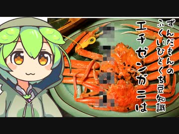 ずんだもん「エチゼンガニは〇〇」