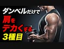 【筋トレ】ダンベルだけで肩をデカくする 3種目 | ボディビルチャンピオンが解説【ビーレジェンド プロテイン】