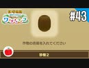 【実況】牧場物語 Welcome！ ワンダフルライフを遊ぶいも【#43】