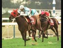 1995年　報知杯４歳牝馬特別　ライデンリーダー