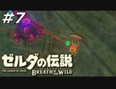 生きることを許されていない射線の数 ゼルダの伝説 ブレスオブザワイルド マスターモード Part7【ゲーム実況】