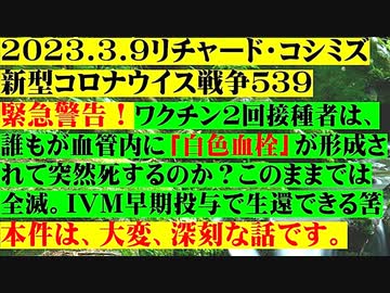 【2023年03月09日：リチャード・コシミズ Internet 講演 （ ニコニコ生放送『 LIVE 』）（ 改良版 ）】
