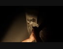 【海外Indie Horror Game】Incileというゲームのデモ版やってみた！【No Commentary】