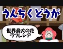 うんちくどうが0013『世界最大の花 ラフレシア』
