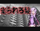 毟られる髪(#特選怖い話/#voiceroid怪談/#結月ゆかり/#ホラーテラー/#朗読/#水野くろ)