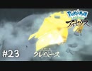 デカァァァァァいッ説明不要！！【ポケモンレジェンズ アルセウス】#23