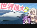 世界最大の飛行機をブン回したら壊れたIAちゃん航空【MSFS】