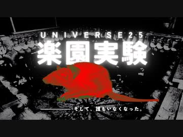 【衝撃の結末】ネズミの楽園実験がヤバい！？UNIVERSE25をゆっくり解説
