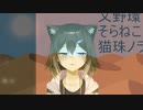 民族21（文野環Cover）【にじさんじ / 文野環】