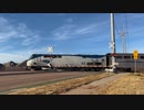 米国オクラホマ州ノーマンの踏切 | Amtrak 44 at E Cedar Ln Rd Railroad Crossing, Norman, OK 12/25/21