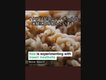 IKEAの昆虫ミートボール