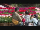 「一人一花運動」の発信拠点“ボタニカルライフスクエア”がオープン　福岡市植物園