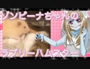 ゾンビーナのハムスターの日常。11