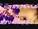 マガラブのハムスターの日常13