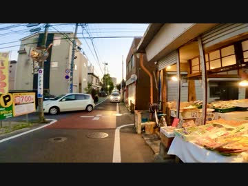 千葉県市川市中国分-真間を歩く【今度こそ市川市編 part LAST】【散歩216】