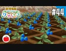 【実況】牧場物語 Welcome！ ワンダフルライフを遊ぶいも【#44】