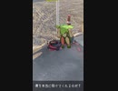 道端のずんだもんを揶揄ってみた