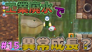 【星のカービィWiiデラックス】#15 一つ目がとおる【初見プレイ】