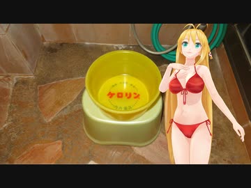 【HUSTLER】新弦巻マキと名所探訪 第170話「熊本県・日奈久温泉センター ばんぺい湯」