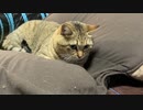 夢中になって遊んでると思ったら…