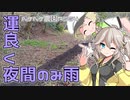 2023年3月10日　農作業日誌P564　雨が上がったので午前中は本格的な荷造りをしていたが、量が多かった　VOICEVOX