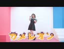 【四月一日】カメレオン　踊ってみた。