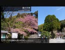 しげっち交通観光局#0043 トリシティ155で行く「藤川天神@薩摩川内市東郷町」/2023.03.02