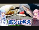 【釣りのあとには♪】大漁！東京湾の寒シロギス