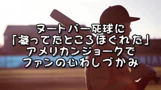 ヌートバー死球に「凝ってたところほぐれた」アメリカンジョークでファンの心わしづかみ