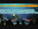 【神回】キャストに告白する男性現る【タートルトーク】東京ディズニーシー