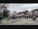 おうみみっく/ねりま→さくら