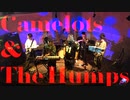 Camelots & The Humps (Camelotsライブバンド部門) in ライブおひとりさま#5