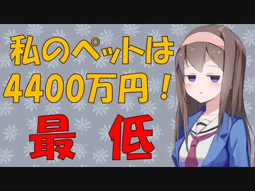 【VOICEROID解説】4400万円でネコとチャンネルを売ろうとした暴挙を心理学的に見てみた【お金の心理】