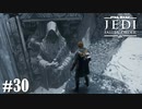 【STAR WARS JEDI : fallen order】ジェダイのための星【実況】#30