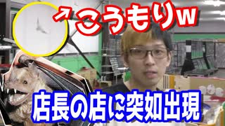 野生のこうもりが店長の店（遊楽舎）を襲撃する事件が発生w 【ヒカル&店長切り抜き】