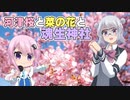 河津桜と菜の花と魂生神社