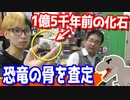 ジュラ紀後期（1億年前）の恐竜の骨を店長に査定してもらった結果… 【ヒカル&店長切り抜き】