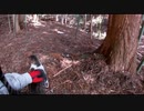 （ちょっと苦言ありの見廻り回ｗ）変態忍者の、有害鳥獣駆除従事活動記・その２３４