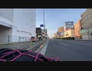 2023年03月12日_鎌倉まで自転車で行く１４０km(lv340578230)_大仏_大仏のぶつぶつ2(co4064588)_002