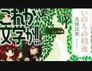 「いのちの初夜」感想戦～激闘！きりたんVSきりたんVSダークライ～