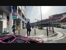 2023年03月12日_鎌倉まで自転車で行く１４０km(lv340578230)_大仏_大仏のぶつぶつ2(co4064588)_003