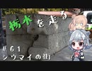 【CeVIO車載】栃木を走る#61　シウマイの街