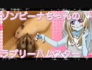 ゾンビーナのハムスターの日常。15