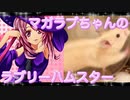 マガラブのハムスターの日常14
