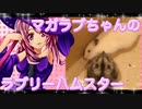 マガラブのハムスターの日常15