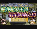 【神と伝説の競演】藤井聡太王将vs羽生善治九段　第72期ALSOK杯王将戦　七番勝負第6局【ゆっくり将棋解説】