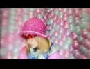 『HQ MV』 The Jadu – さよなら [2001年] (+日本語字幕) (+カナルビ)