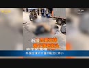 失業者が野垂れ死に