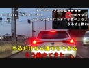 【イノシシ】パチプロイノちゃん家に帰る！。2023年3月4日