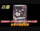白猫　叛逆のカラーズ１Lesson　アイテムボックス周回　体育の補習授業　ガチャキャラ　クルツ（拳）セシル（弓）ルナ（輝剣）　＃６８　【白猫プロジェクト】